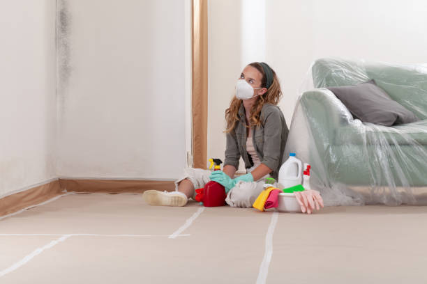 Reliable Mold Testing contractor in Highland, IL by WQB Mold Removal